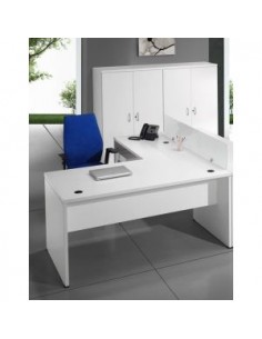 Despacho completo pata recta