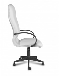 Sillón Modelo Estonia 2