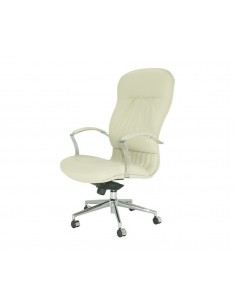 Sillón con refuerzo lumbar modelo Jass