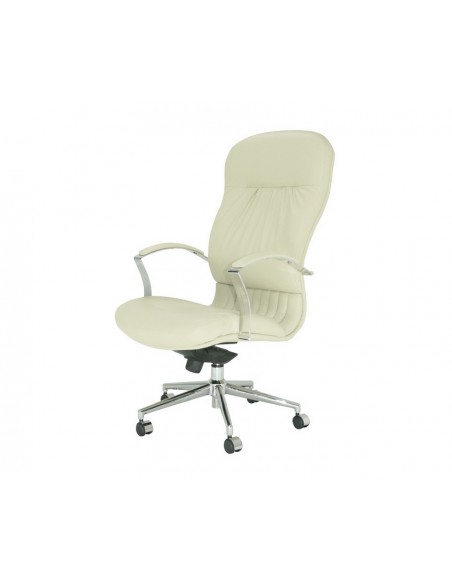 Sillón con refuerzo lumbar modelo Jass