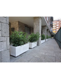 Jardinera de piedra... 2