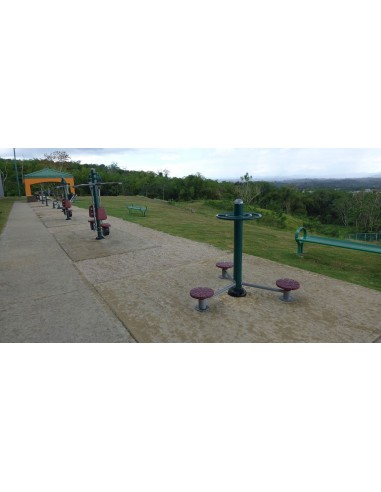 Circuito biosaludable: el volante