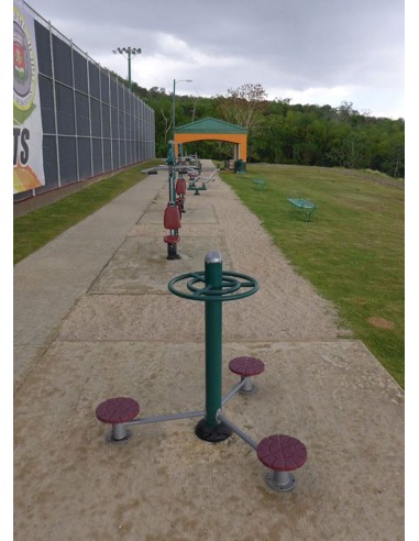 Circuito biosaludable: esquí de fondo