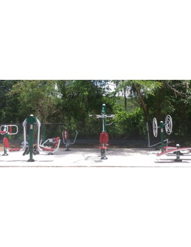 Circuitos biosaludables: el caballo