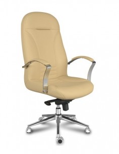 Sillón de dirección Modelo...
