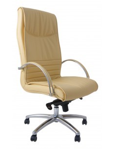 Sillón de dirección en piel...