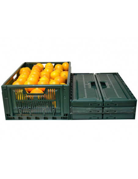 Caja plegable rejillada 30x40x16 cm