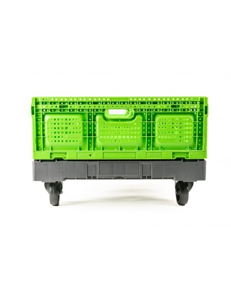 Base rodante para cajas de plástico