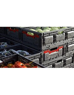 Caja de plástico plegable de varias medidas