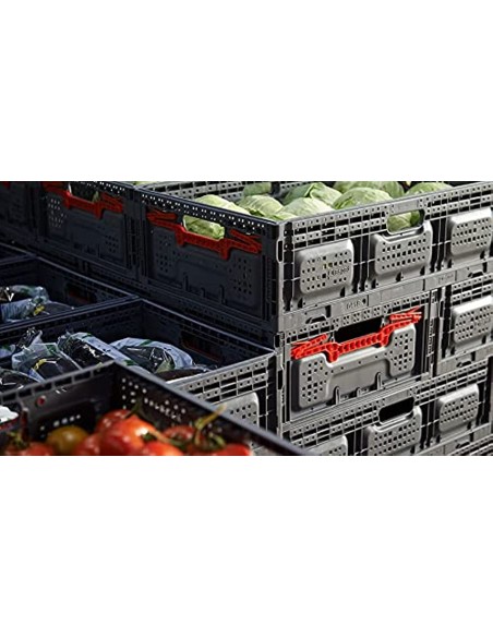 Caja de plástico plegable de varias medidas