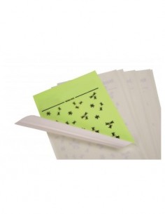 Exterminador de acero... 2