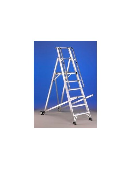 Escalera profesional con plataforma y portaherramientas