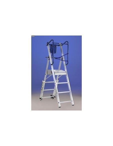 Escalera de peldaño ancho con guarda-cuerpo